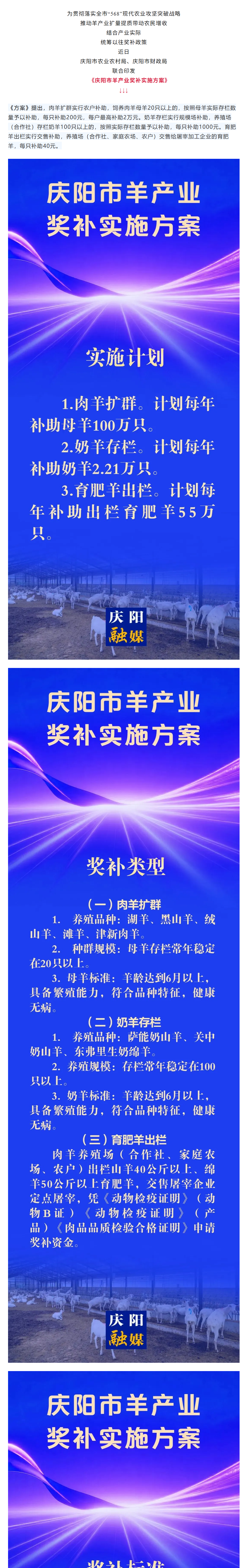 洋洋.png